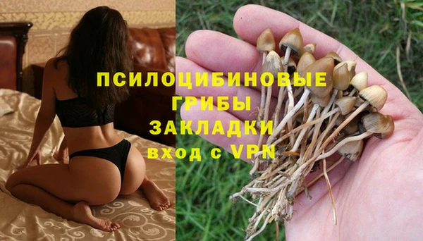 ECSTASY Белокуриха