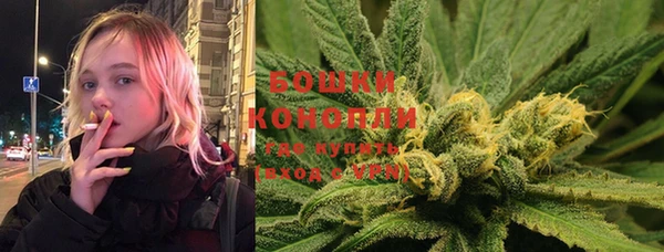 ECSTASY Белокуриха