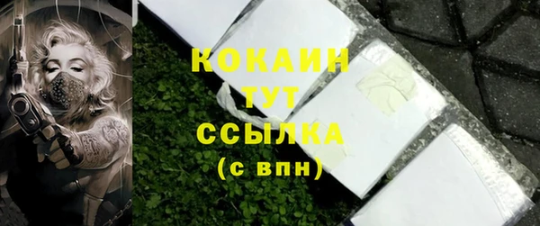 СК Богородск