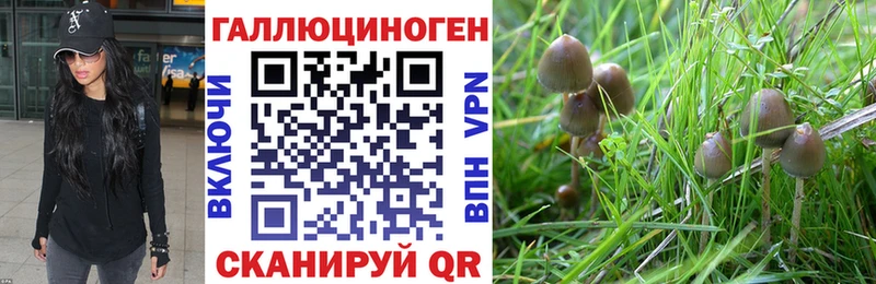 как найти наркотики  Пересвет  hydra маркетплейс  Галлюциногенные грибы GOLDEN TEACHER 