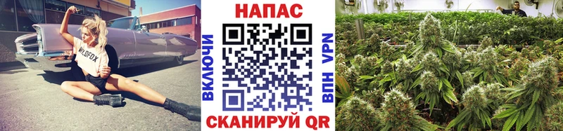 Марихуана THC 21%  хочу наркоту  Пересвет 